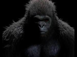 gorilla hairs rigged low poly animal 3D Model