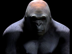 gorilla hairs rigged low poly animal 3D Model