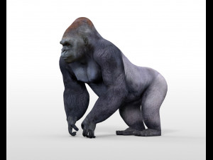 gorilla hairs rigged low poly animal Modèle 3D