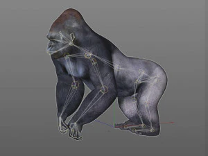 gorilla hairs rigged low poly animal 3D Model