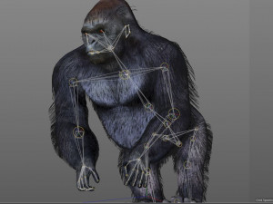 gorilla hairs rigged low poly animal Modèle 3D