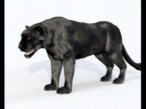 Black Panther Hairs Rigged Low Poly Animal 3D Model