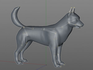 husky dog hairs rigged low poly animal 3Dモデル