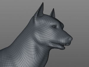 husky dog hairs rigged low poly animal 3Dモデル