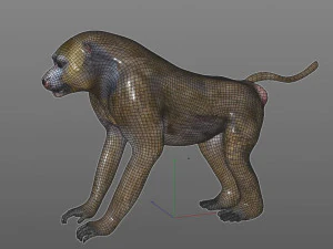 baboon monkey rigged low poly animal 3D Model