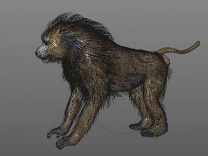 baboon monkey rigged low poly animal 3D Model