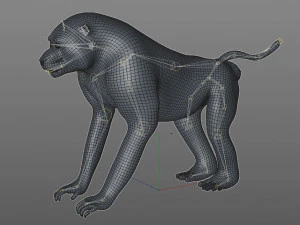 baboon monkey rigged low poly animal 3D Model
