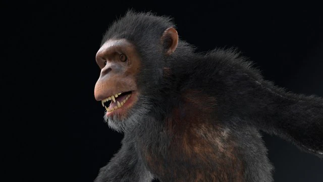 chimpanzee ape rigged low poly animal 3D Model .c4d .max .obj .3ds .fbx .stl .blend
