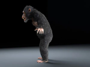 chimpanzee ape rigged low poly animal 3D Model