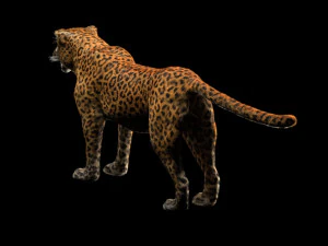 peli di leopardo truccati animale low poly Modello 3D