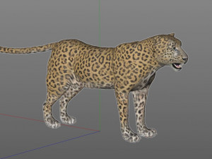 leopard hairs rigged low poly animal 3D Model