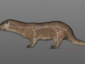 otter hairs rigged low poly animal Modelo 3D