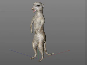 मीरकैट हेयर रिग्ड लो पॉली एनिमल 3D मॉडल