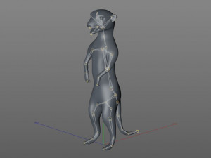 meerkat hairs rigged low poly animal 3D 모델