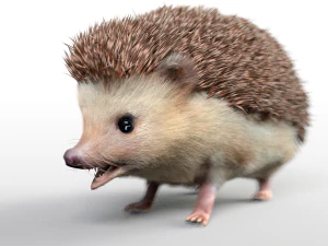 ouri&ccedil;o manipulado animal low poly Modelo 3D