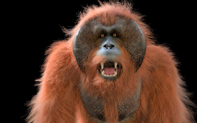orangutan rigged low poly animal 3D Model .c4d .max .obj .3ds .fbx .stl .blend 