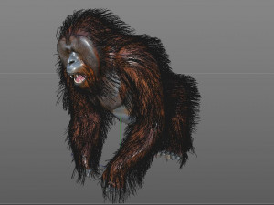 orangutan rigged low poly animal 3D Model