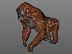 orangutan rigged low poly animal 3D Model