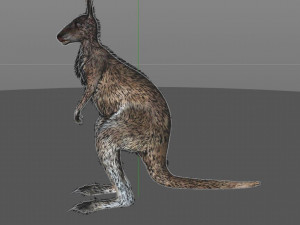 kangaroo rigged low poly animal Modèle 3D