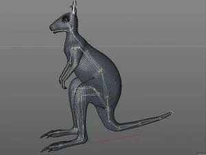 kangaroo rigged low poly animal 3D Model