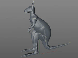 kangaroo rigged low poly animal 3D Model