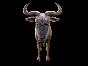 wildebeest rigged low poly animal 3D Model