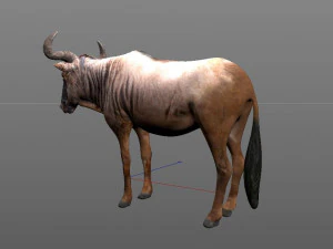 wildebeest rigged low poly animal 3D Model