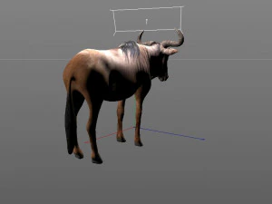 wildebeest rigged low poly animal 3D Model