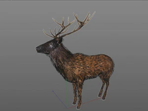 stag deer rigged low poly animal 3D Model