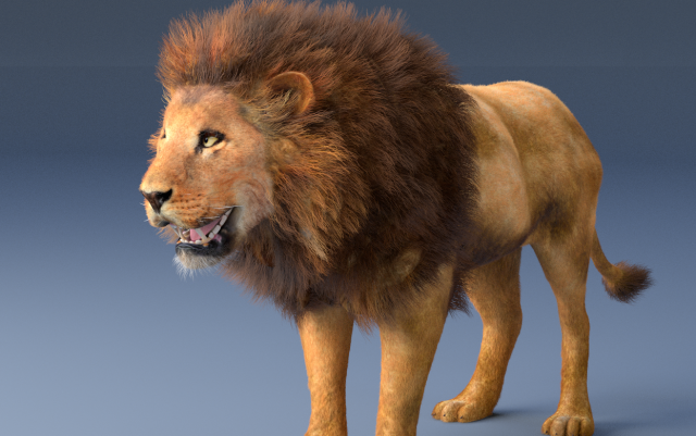 african lion hair fur rigged low poly animal Modelo 3D .c4d .max .obj .3ds .fbx .stl .blend 