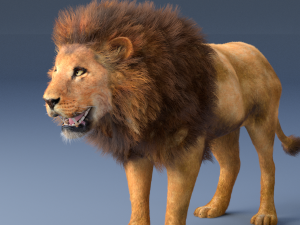 african lion hair fur rigged low poly animal 3D Model