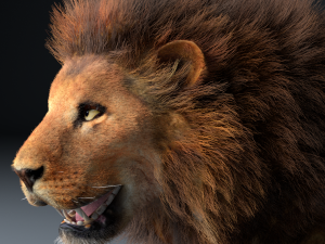 african lion hair fur rigged low poly animal Modelo 3D