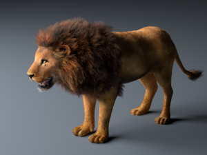 african lion hair fur rigged low poly animal Modelo 3D