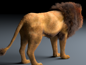 african lion hair fur rigged low poly animal Modelo 3D
