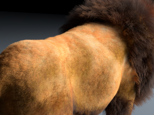 african lion hair fur rigged low poly animal Modelo 3D