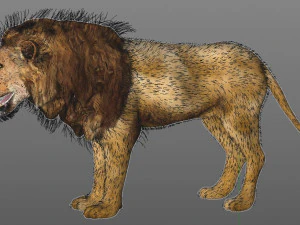 pelliccia di leone africano truccata animale low poly Modello 3D