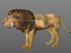 african lion hair fur rigged low poly animal Modelo 3D