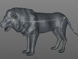 african lion hair fur rigged low poly animal Modelo 3D