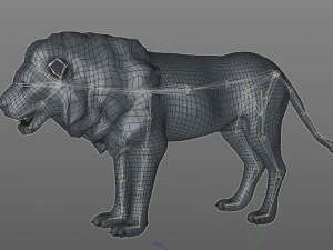 pelliccia di leone africano truccata animale low poly Modello 3D