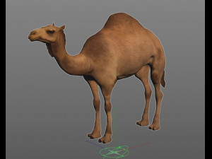 camel hair fur rigged low poly animal 3D Model