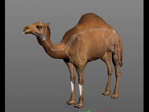 camel hair fur rigged low poly animal 3D Model