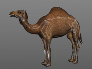 camel hair fur rigged low poly animal 3D Model