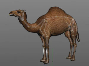camel hair fur rigged low poly animal 3D Model