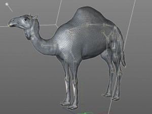 camel hair fur rigged low poly animal 3D Model