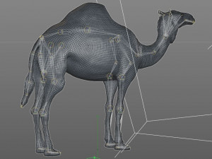 camel hair fur rigged low poly animal 3D Model