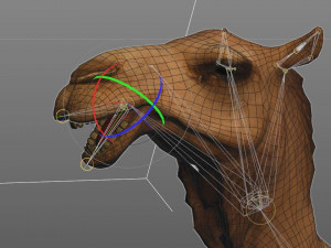 camel hair fur rigged low poly animal 3D Model