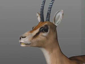 thompson gazelle hair fur rigged low poly animal 3D Model