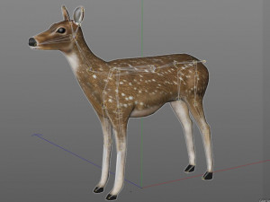 cheetal deer hair fur rigged low poly animal 3D Model