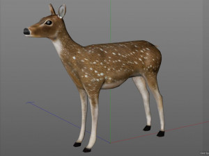 cheetal deer hair fur rigged low poly animal 3D Model