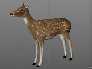 pelliccia di pelo di cervo cheetal truccata animale low poly Modello 3D